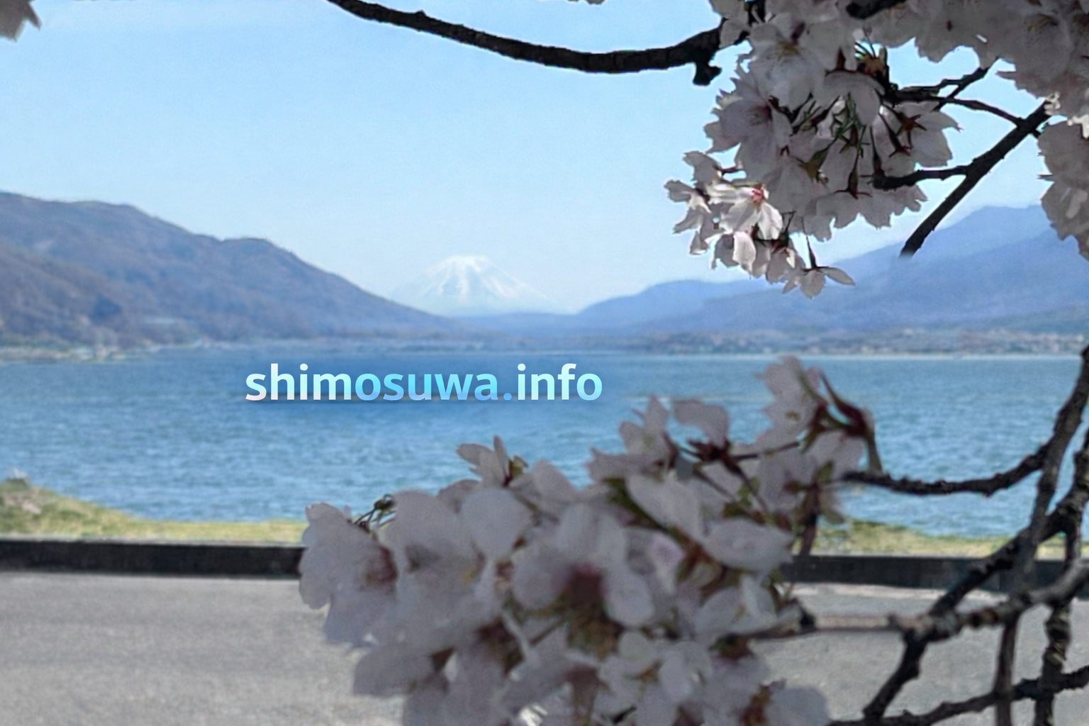 shimosuwa_info